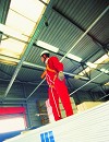 Horizontal ladder safety system Protecta Hercule